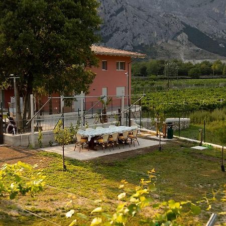 Holiday Apartments Giulia - Gold Pietramurata Eksteriør bilde